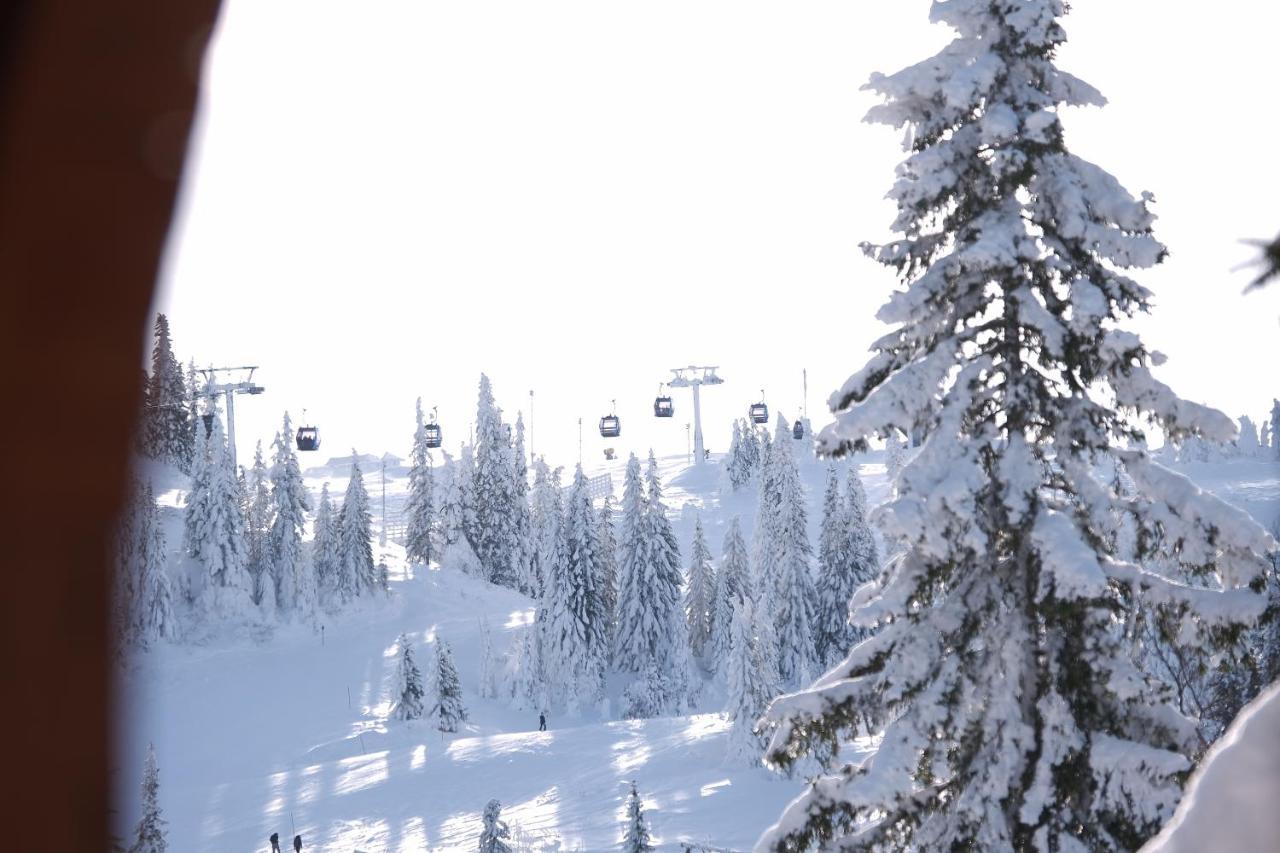 Villa Rustika Jahorina Bagian luar foto